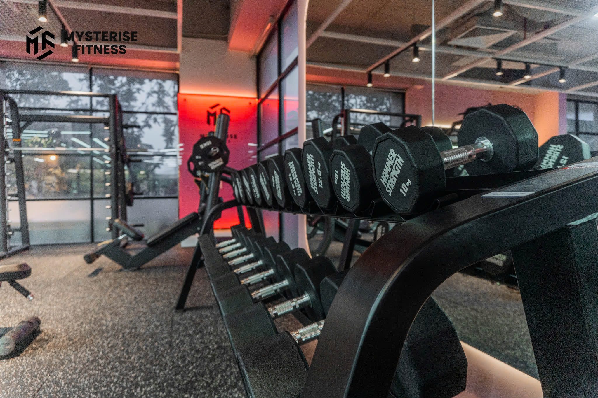 Mysterise Fitness