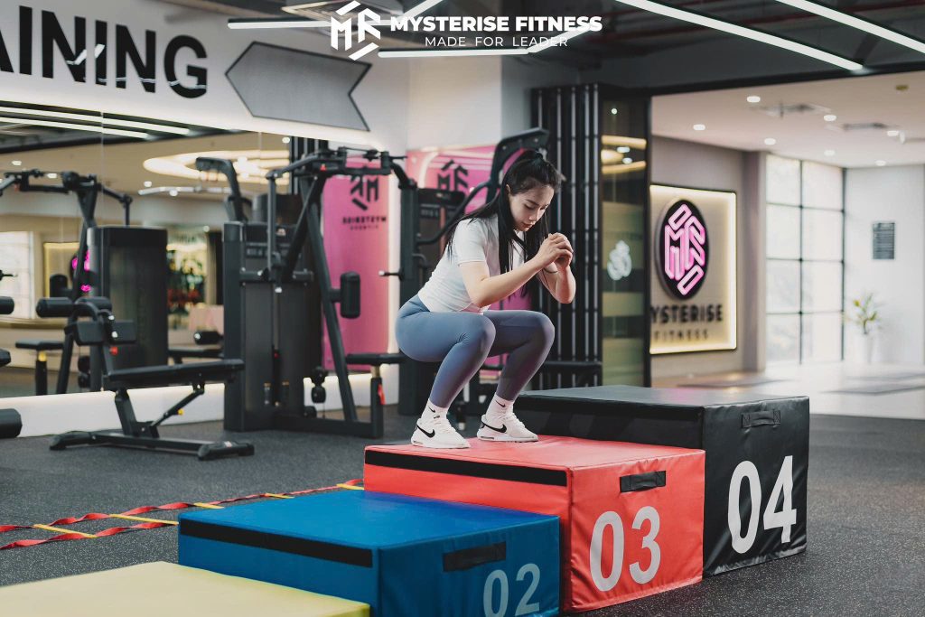Mysterise Fitness